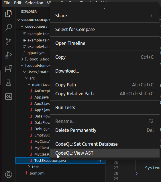 CodeQL AST menu